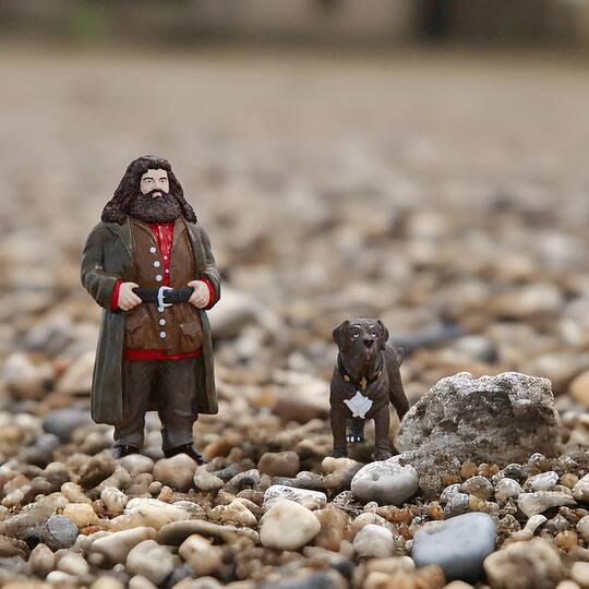 schleich® Wizarding World of Harry Potter™ Hagrid™ & Fang Collectible Figurine Set